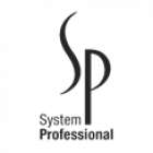 system professional logo